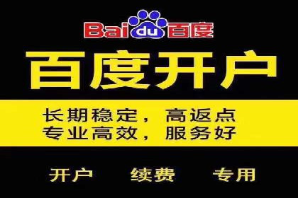 低成本高回报：百度竞价代理成功案例分析